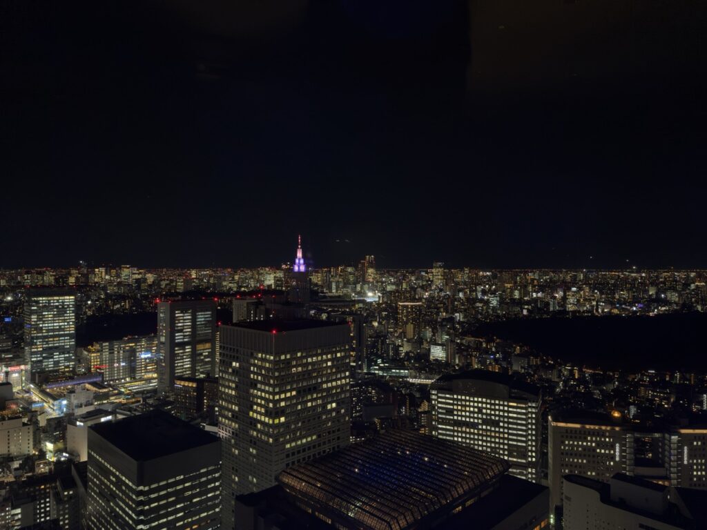 東京都廳 Tokyo Night Light 夜景1