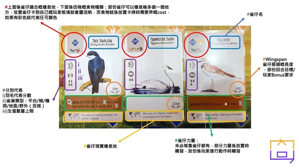 Wingspan 雀仔卡介紹