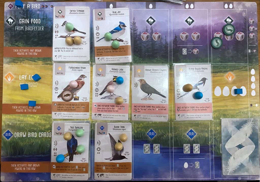 Wingspan 遊戲過程中-2