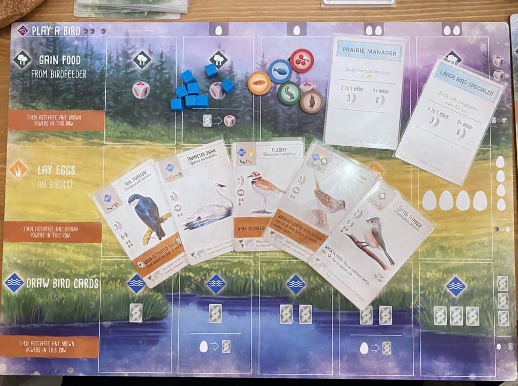 Wingspan展翅翱翔 遊戲設置